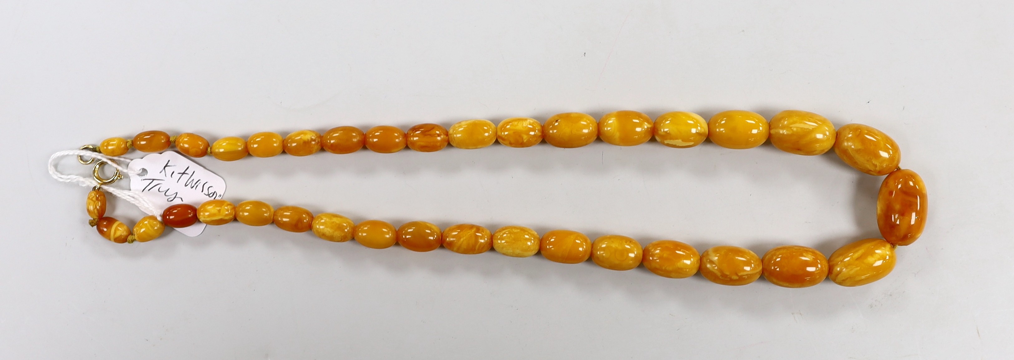 A single strand graduated amber bead necklace, 50cm, gross weight 31 grams.